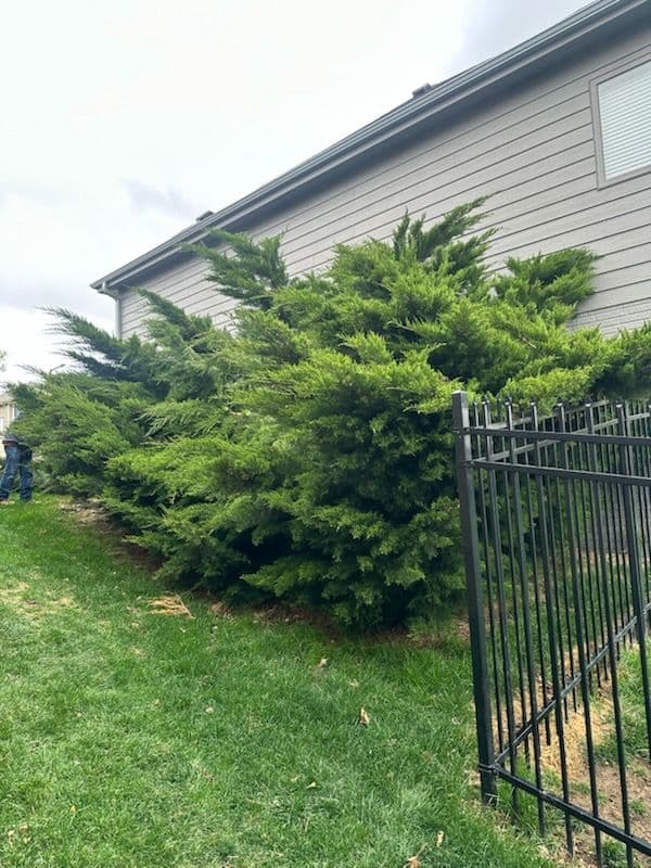 Effortless Outdoor Space Transformation image