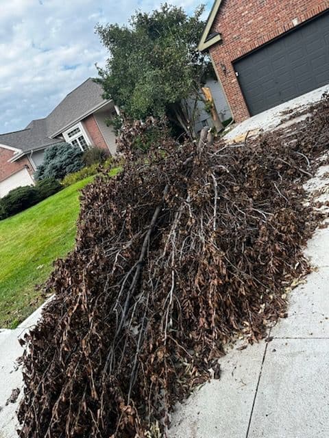 Driveway Debris Cleared in Local Neighborhood image