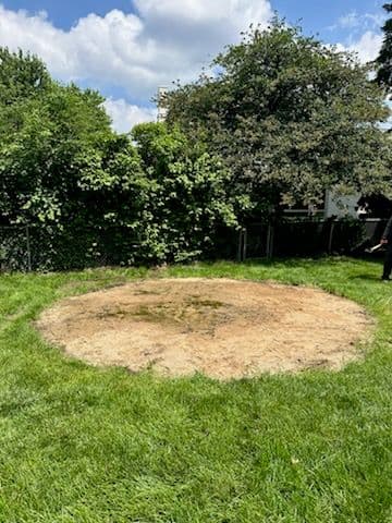 Gallery photos for Dismantled Pool Transforms Backyard in Doylestown: Image #3