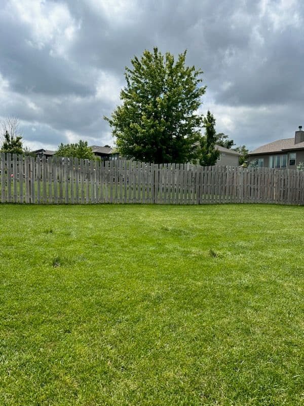 Gallery photos for Transform Your Yard with Swing Set Removal: Image #1