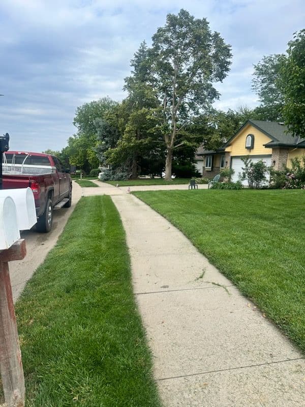 Gallery photos for Patio Transformation with Expert Junk Removal: Image #1