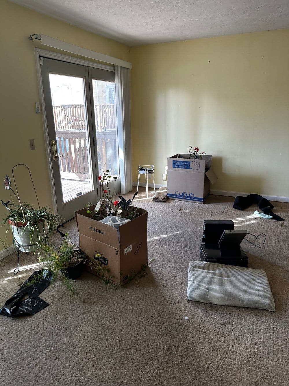 Cluttered room with moving boxes, potted plants, and open sliding glass doors.