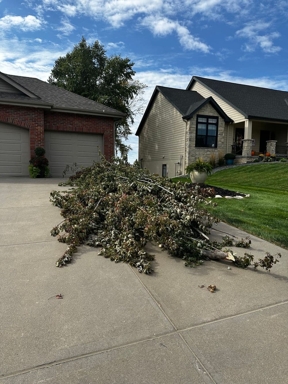 Fallen tree branches across a driveway near residential homes under a blue sky.