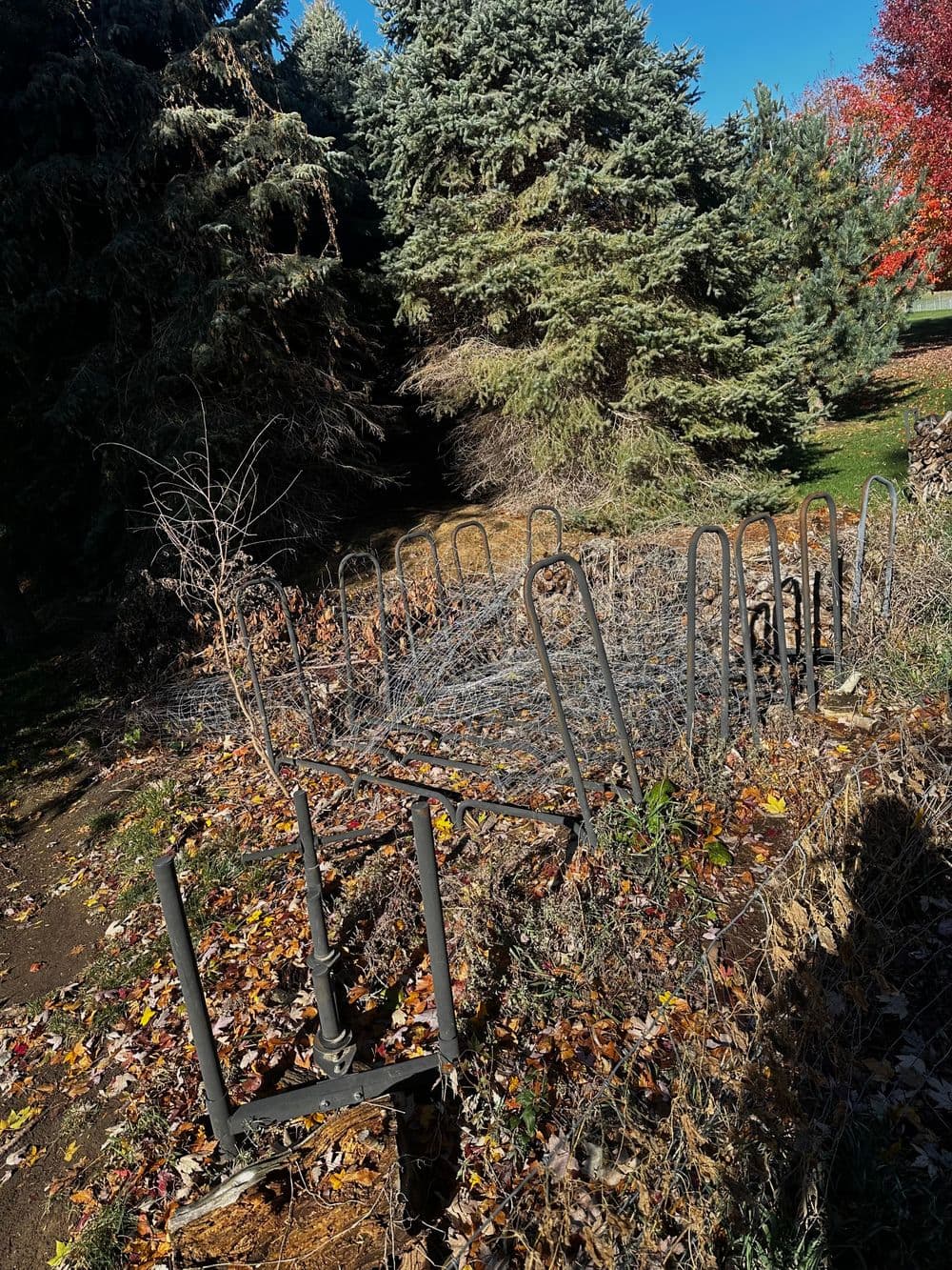 Rusty old fence in an autumn landscape with colorful leaves and evergreen trees.